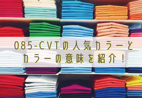 大定番！085-CVTの人気カラーとカラーの意味を紹介！