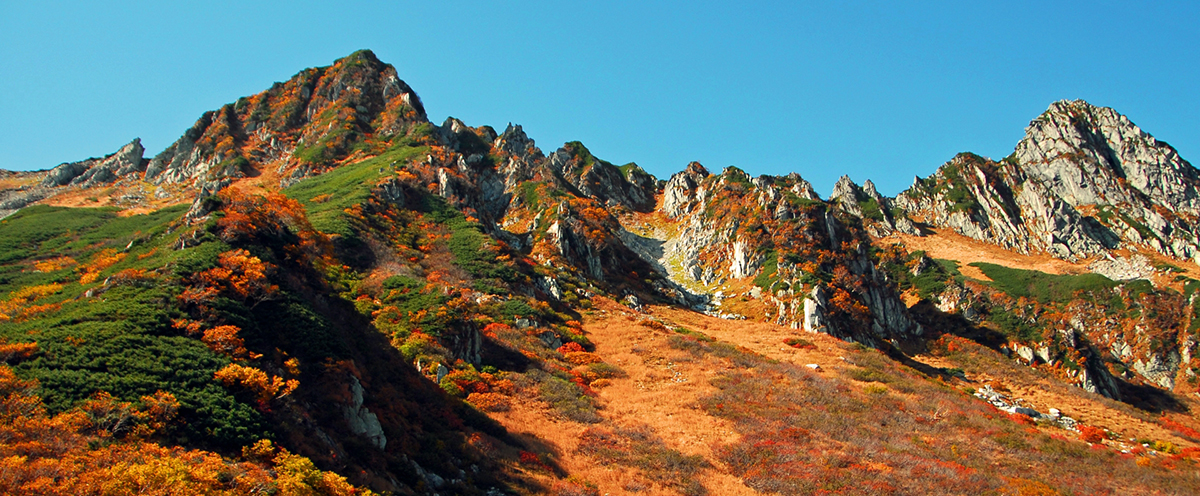 紅葉の山