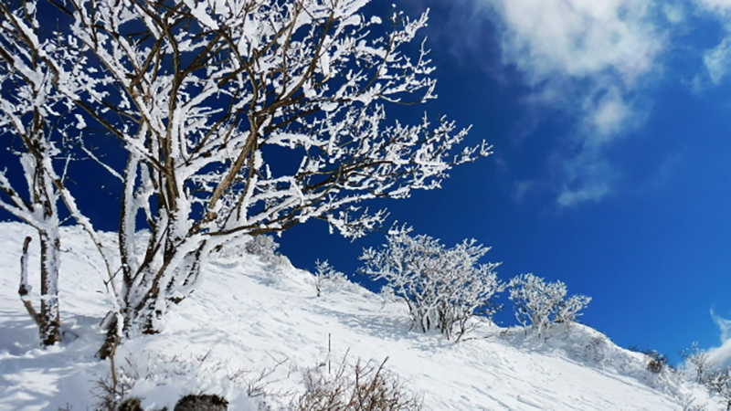 冬の雪山写真